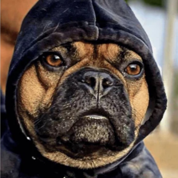 Meet your Posher, Michele - Picture 12 of 16